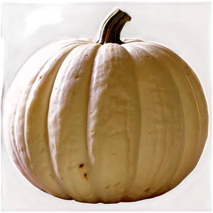 White Pumpkin Png 06212024 PNG Image