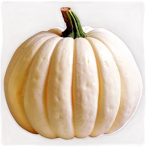 White Pumpkin Png 69 PNG Image