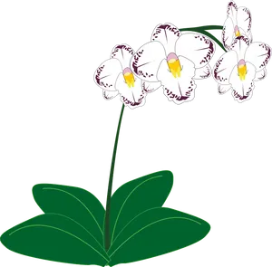 White Purple Orchid Illustration PNG Image