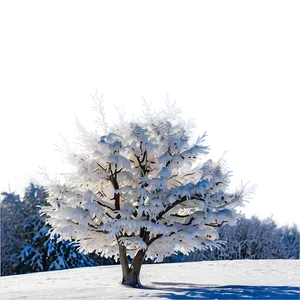 White Snowy Tree Landscape Png Fef80 PNG Image