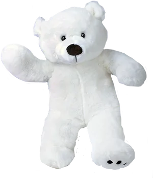 White Teddy Bear Black Background PNG Image