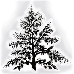 White Tree Silhouette Png Rgv25 PNG Image