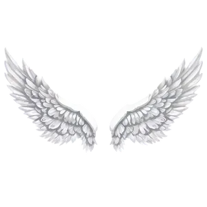 White Wings A PNG Image