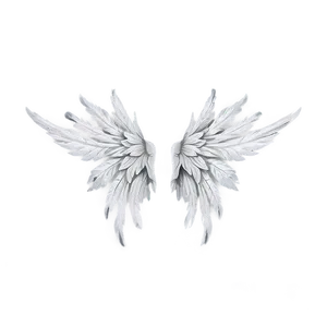 White Wings Png Jkx47 PNG Image