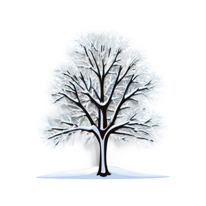 White Winter Trees Png 06292024 PNG Image