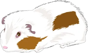 Whiteand Brown Guinea Pig Illustration PNG Image