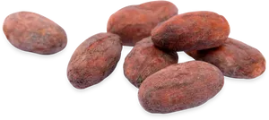 Whole Cacao Beans Isolated PNG Image