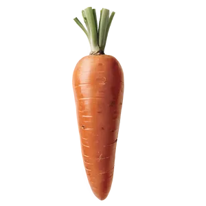 Whole Carrot Png Eia PNG Image