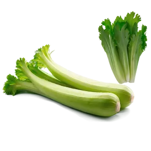 Whole Celery Png Wxx28 PNG Image