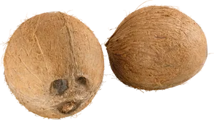 Whole Coconuts Isolatedon Background PNG Image