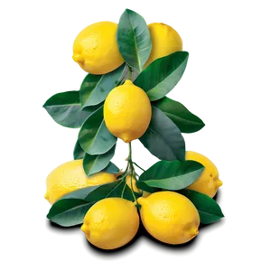 Whole Lemons Png Gwm23 PNG Image