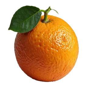 Whole Orange Png 85 PNG Image