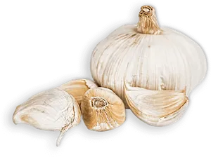 Wholeand Cloves Garlic PNG