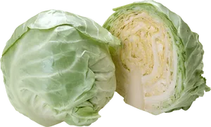 Wholeand Half Cabbage Display PNG Image