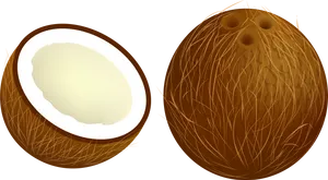 Wholeand Half Coconut Illustration PNG