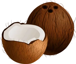 Wholeand Half Coconut Illustration PNG