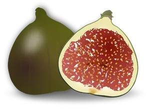 Wholeand Half Fig Illustration PNG Image