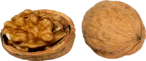 Wholeand Half Walnut PNG Image