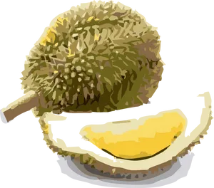 Wholeand Sliced Durian Fruit PNG Image