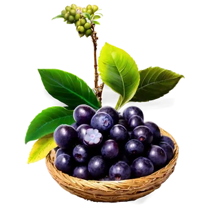 Wild Acai In Nature Png Ada95 PNG Image