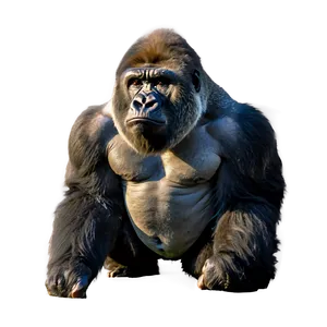 Wild Angry Gorilla Png Wwe6 PNG Image