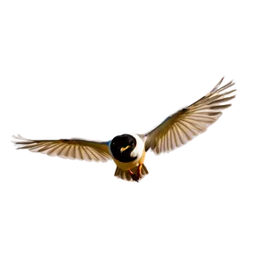 Wild Bird In Flight Png 29 PNG Image