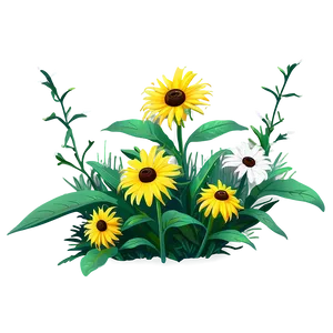 Wild Black Eyed Susan Meadow Png Pgy32 PNG Image