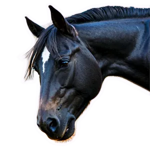 Wild Black Mustang Image Png 06262024 PNG Image