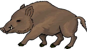 Wild Boar Illustration.png PNG Image