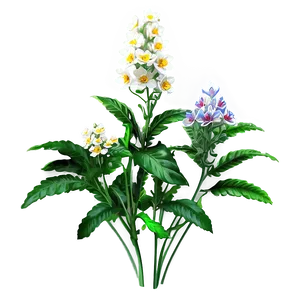 Wild Flower Bush Png Rfy34 PNG Image