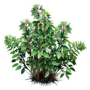 Wild Flower Bush Png Xsy PNG Image