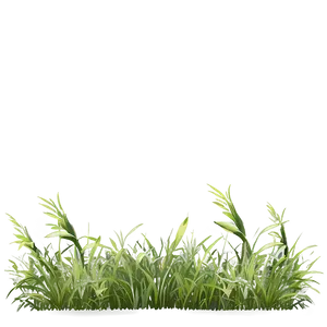 Wild Grass Border Png Hhe89 PNG Image