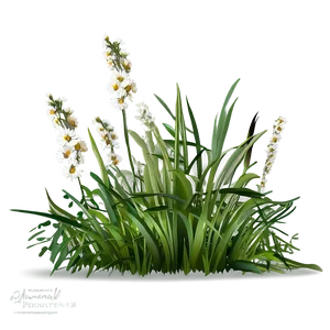 Wild Grass Meadow Png Tml22 PNG Image