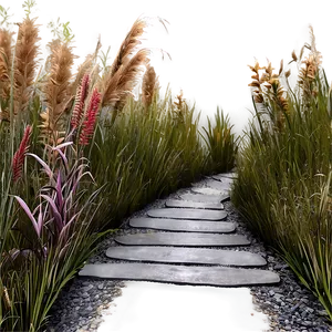 Wild Grass Pathway Png Vpq PNG Image