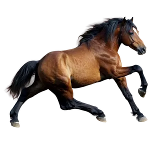 Wild Horse Photos Png 19 PNG Image