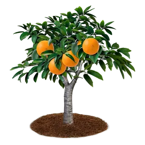 Wild Orange Tree Png 36 PNG Image