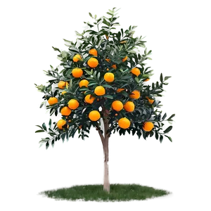 Wild Orange Tree Png Cfo99 PNG Image