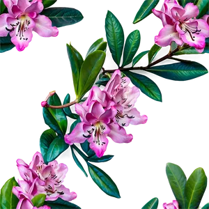 Wild Rhododendron Png Ljy75 PNG Image