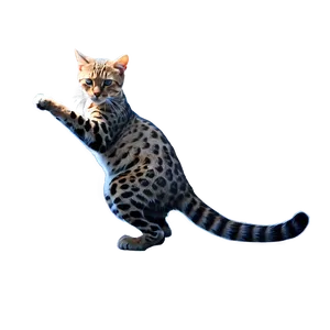 Wildcat Hunting Pose Png Exc43 PNG Image