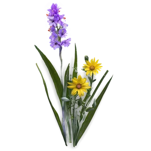 Wildflower Bouquet Closeup Png Idi PNG Image