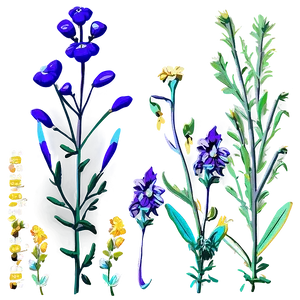 Wildflower Garden Delight Png 19 PNG Image