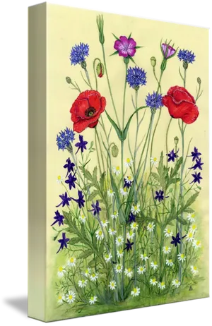 Wildflower Meadow Artwork PNG Image