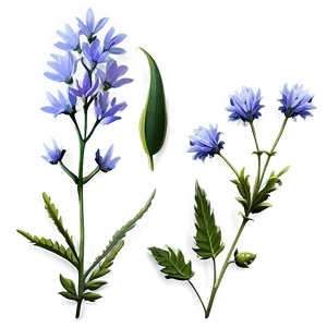 Wildflower Natural Beauty PNG Jbi56 PNG