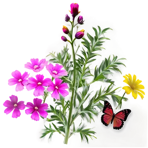 Wildflower Natural Beauty PNG Kqo59 PNG