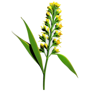 Wildflower Stem Png Hni PNG Image