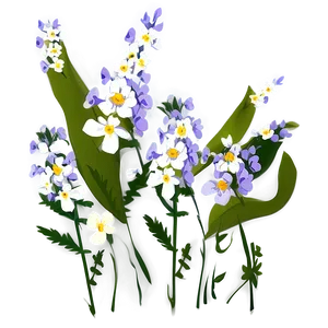 Wildflower Transparent Illustration Png 05252024 PNG Image