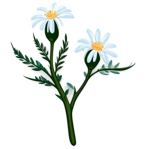 Wildflower Transparent Illustration Png Yor PNG Image