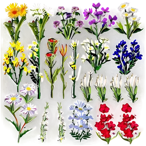 Wildflowers In Bloom Png 54 PNG Image