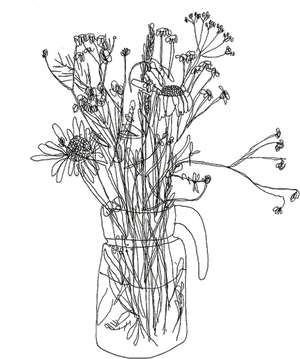 Wildflowers_ Sketch_in_ Vase PNG Image