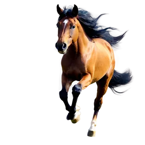 Wind Swept Mane Running Horse Png 06292024 PNG Image